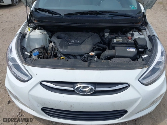 2016 Hyundai Accent Sport with VIN KMHCU5AE2GU249133, listed as a IAAI auction lot 41941173 with 175,635 mi miles. Bid and sale history available at carsss.com. Image 10.