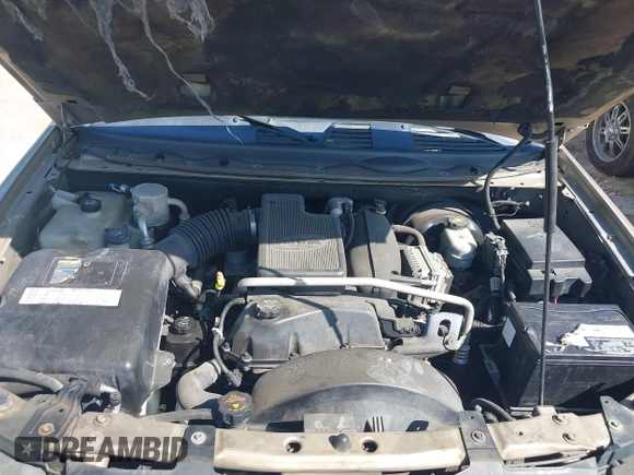 2005 Chevrolet TrailBlazer LS with VIN 1GNDS13S552348684, listed as a IAAI auction lot 42091315 with 216,602 mi miles and . Bid and sale history available at DreamBid. Image 10.