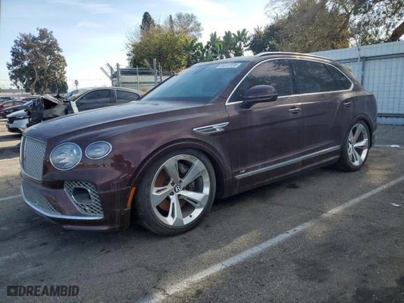 2021 Bentley Bentayga V8 with VIN SJAAM2ZV1MC037602, listed as a Copart auction lot 84973104 with 0 miles and Salvage Title. Bid and sale history available at carsss.com. Image 1.