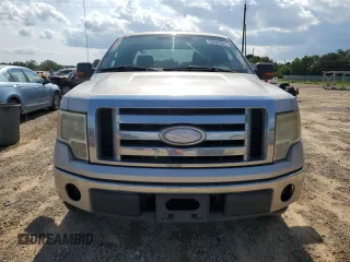 2009 Ford F-150 XLT with VIN 1FTRX12V89FA40192, listed as a Copart auction lot 62384525 with 276,253 mi miles and Clean title. Bid and sale history available at DreamBid. Image 5.