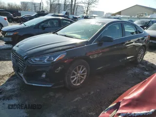 2019 Hyundai Sonata SE with VIN 5NPE24AF1KH779604, listed as a Copart auction lot 48901155 with 74,963 mi miles and Salvage Title. Bid and sale history available at DreamBid. Image 1.