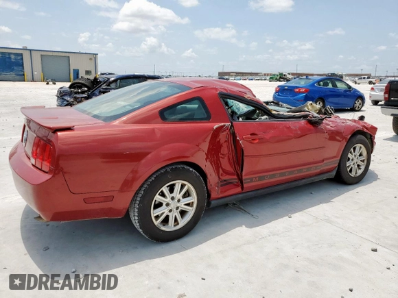 2008 Ford Mustang Deluxe with VIN 1ZVHT80NX85209231, listed as a Copart auction lot 61618885 with Not provided miles and Salvage title. Bid and sale history available at DreamBid. Image 3.