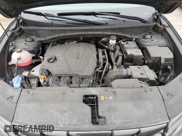 2024 Hyundai Tucson SEL with VIN 5NMJBCDE5RH305240, listed as a Copart auction lot 53403955 with 48,684 mi miles and Salvage Title. Bid and sale history available at carsss.com. Image 12.