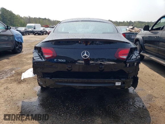 2022 Mercedes-Benz C 300 with VIN W1KWJ8DB3NG110241, listed as a Copart auction lot 54510663 with 9,860 mi miles and . Bid and sale history available at DreamBid. Image 6.