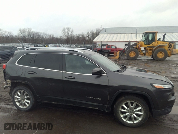 2016 Jeep Cherokee Limited with VIN 1C4PJMDSXGW121091, listed as a IAAI auction lot 41733807 with 196,455 mi miles and . Bid and sale history available at DreamBid. Image 13.