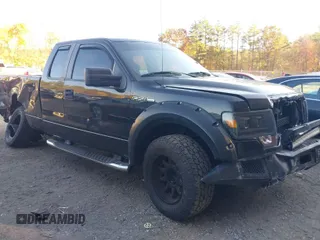 2010 Ford F-150 XL with VIN 1FTEX1EW3AFB48534, listed as a IAAI auction lot 40646062 with 138,625 mi miles. Bid and sale history available at carsss.com. Image 1.