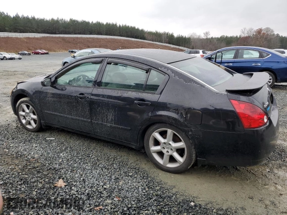 2005 Nissan Maxima 3.5 SE with VIN 1N4BA41E45C827163, listed as a Copart auction lot 84108174 with 0 mi miles and Salvage Title. Bid and sale history available at carsss.com. Image 2.