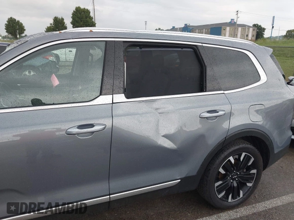 2024 Kia Telluride SX Prestige X-Pro with VIN 5XYP5DGC2RG520392, listed as a IAAI auction lot 42420406 with 19,649 mi miles and . Bid and sale history available at DreamBid. Image 17.