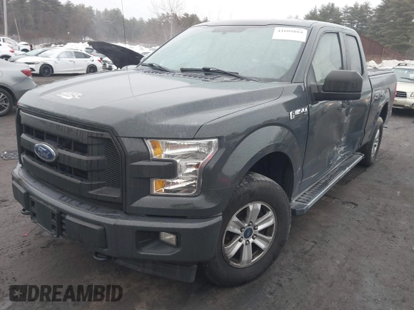 2017 Ford F-150 XL with VIN 1FTEX1E89HKD96516, listed as a IAAI auction lot 41609804 with 166,019 mi miles. Bid and sale history available at carsss.com. Image 2.