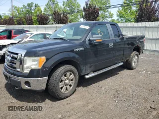 2009 Ford F-150 XL with VIN 1FTPX14V99FA05228, listed as a Copart auction lot 56306815 with 150,282 mi miles and Clean title. Bid and sale history available at DreamBid. Image 1.