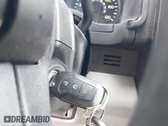 2018 Ford F-150 XL with VIN 1FTEX1CB1JKF06401, listed as a IAAI auction lot 42159664 with 176,549 mi miles and . Bid and sale history available at DreamBid. Image 11.