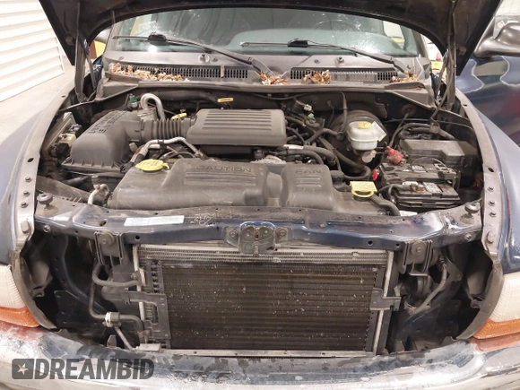2000 Dodge Dakota Sport with VIN 1B7GG2AN6YS636308, listed as a IAAI auction lot 42405180 with 171,266 mi miles and . Bid and sale history available at DreamBid. Image 10.