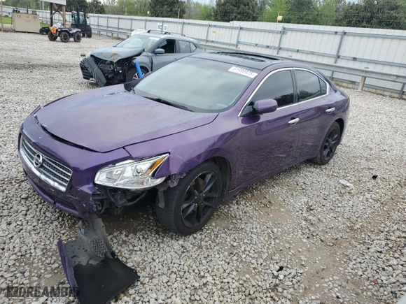 2009 Nissan Maxima 3.5 S with VIN 1N4AA51E89C821650, listed as a Copart auction lot 51998925 with 161,433 mi miles and Salvage Title. Bid and sale history available at carsss.com. Image 1.