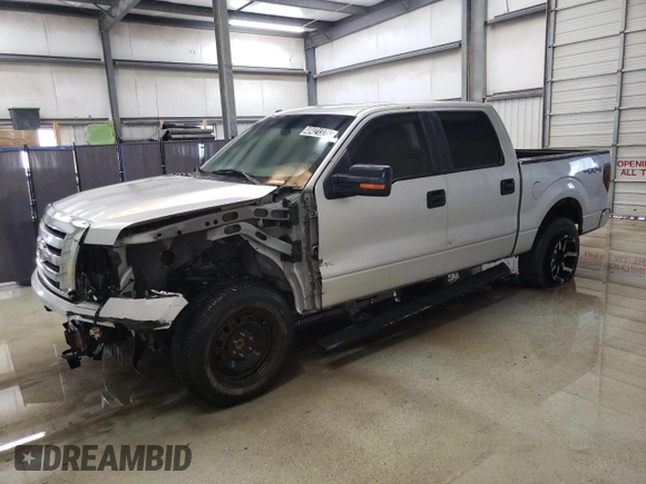 2010 Ford F-150 XL with VIN 1FTFW1EV5AFB52356, listed as a Copart auction lot 48421325 with 295,621 mi miles and Clean Title. Bid and sale history available at carsss.com. Image 1.