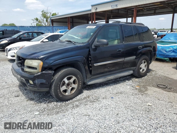 2006 Chevrolet TrailBlazer LS with VIN 1GNES16S666165532, listed as a Copart auction lot 53695985 with 160,155 mi miles and Salvage Title. Bid and sale history available at carsss.com. Image 1.