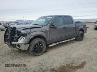 2013 Ford F-150 XL with VIN 1FTFW1CF1DFB41368, listed as a Copart auction lot 80332584 with 203,824 mi miles and Salvage Title. Bid and sale history available at carsss.com. Image 1.