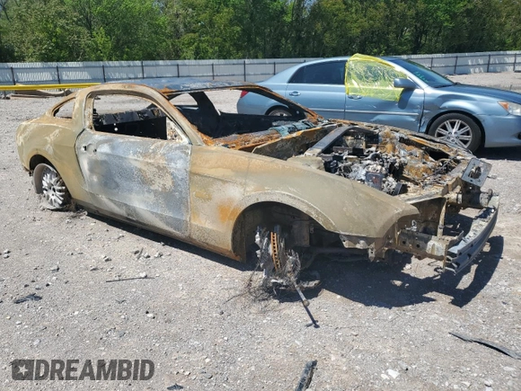 2013 Ford Mustang GT with VIN 1ZVBP8CF9D5260311, listed as a Copart auction lot 50733705 with Not Provided miles and Non Repairable. Bid and sale history available at DreamBid. Image 4.