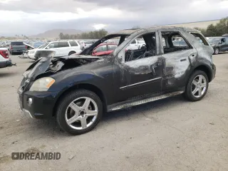 2010 Mercedes-Benz M 550 with VIN 4JGBB7CB6AA541036, listed as a Copart auction lot 77017504 with Not Provided miles and Non Repairable. Bid and sale history available at DreamBid. Image 1.