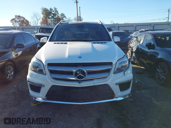 2016 Mercedes-Benz GL with VIN 4JGDF7DE6GA703049, listed as a IAAI auction lot 41063570 with 116,736 mi miles. Bid and sale history available at carsss.com. Image 12.