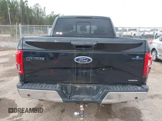 2016 Ford F-150 XLT with VIN 1FTEW1EF7GKF09993, listed as a IAAI auction lot 41127074 with 145,109 mi miles. Bid and sale history available at carsss.com. Image 17.