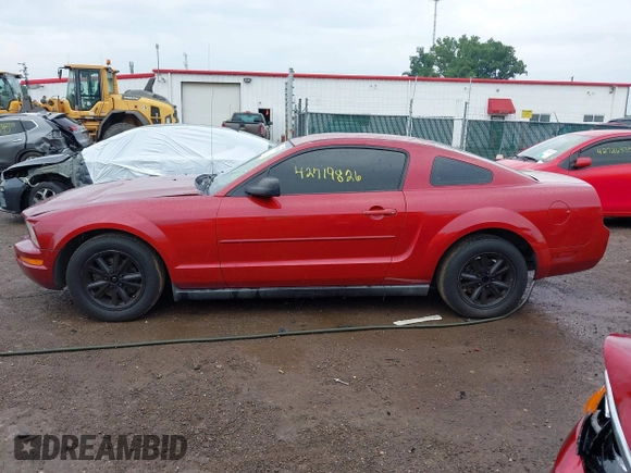 2008 Ford Mustang Deluxe with VIN 1ZVHT80N085193413, listed as a IAAI auction lot 42719826 with 199,618 mi miles and . Bid and sale history available at DreamBid. Image 14.