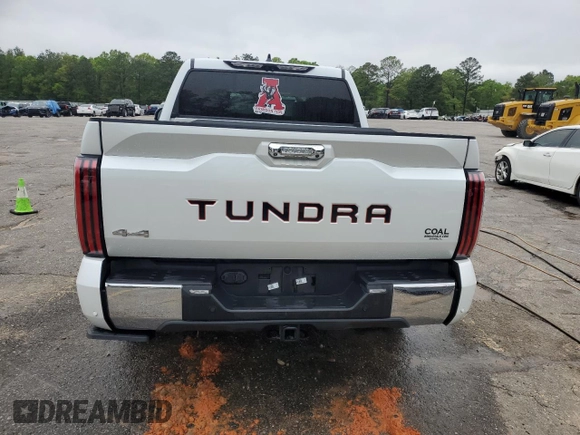 2023 Toyota Tundra 1794 Edition with VIN 5TFMA5DB7PX088232, listed as a Copart auction lot 52026975 with 23,776 mi miles and Salvage title. Bid and sale history available at DreamBid. Image 6.