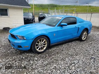 2010 Ford Mustang V6 с VIN 1ZVBP8AN6A5124529, выставлен на аукционе Copart как лот 61351535 с пробегом 148 094 миль миль и Чистый • Clean title. История ставок и продаж доступна на DreamBid. Изображение 1.