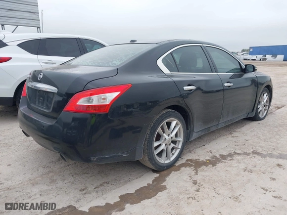2009 Nissan Maxima 3.5 S with VIN 1N4AA51E89C831062, listed as a IAAI auction lot 41923084 with 176,709 mi miles. Bid and sale history available at carsss.com. Image 4.