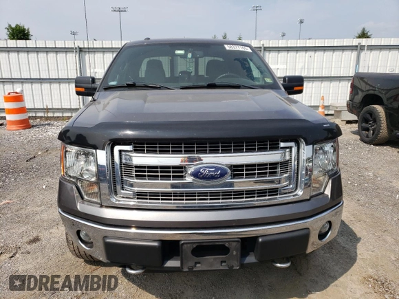 2013 Ford F-150 XL with VIN 1FTFX1EF8DKD72110, listed as a Copart auction lot 58377165 with 58,507 mi miles and Salvage title. Bid and sale history available at DreamBid. Image 5.