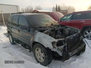 2005 Ford Escape XLT with VIN 1FMYU93165KC92924, listed as a Copart auction lot 46076435 with 0 mi miles and Salvage Title. Bid and sale history available at carsss.com. Image 4.