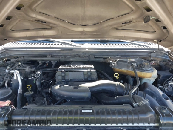 2005 Ford F-250 XL with VIN 1FTSX20565EC51367, listed as a IAAI auction lot 41723481 with 168,889 mi miles and . Bid and sale history available at DreamBid. Image 10.