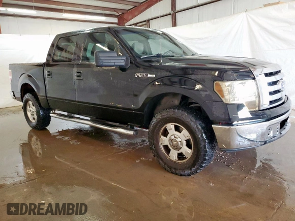 2010 Ford F-150 XL with VIN 1FTEW1E80AFB26785, listed as a Copart auction lot 59383405 with 220,540 mi miles and Clean title. Bid and sale history available at DreamBid. Image 4.