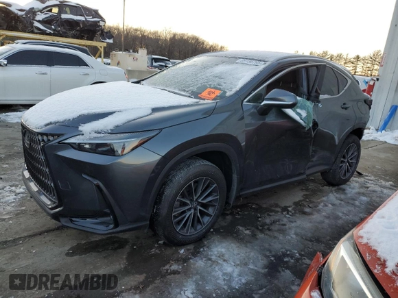 2024 Lexus NX with VIN 2T2AGCEZ9RC057644, listed as a Copart auction lot 89156795 with 0 mi miles and Salvage Title. Bid and sale history available at carsss.com. Image 1.
