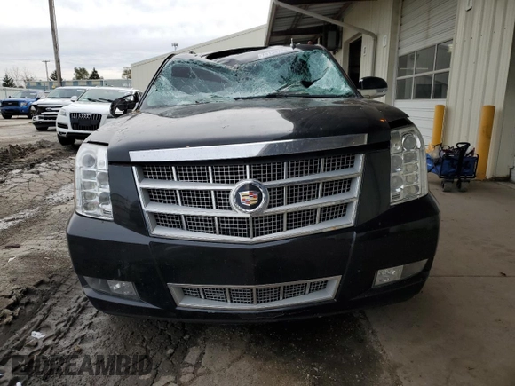 2013 Cadillac Escalade Platinum Edition with VIN 1GYS4DEF8DR133652, listed as a Copart auction lot 79134744 with 0 mi miles and Salvage Title. Bid and sale history available at carsss.com. Image 5.