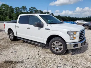 2017 Ford F-150 XL with VIN 1FTEW1C80HFB77877, listed as a Copart auction lot 61271855 with 189,185 mi miles and Salvage title. Bid and sale history available at DreamBid. Image 4.