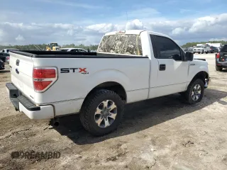 2013 Ford F-150 XL with VIN 1FTMF1EF1DFA51044, listed as a Copart auction lot 79561474 with 191,122 mi miles and Salvage Title. Bid and sale history available at DreamBid. Image 3.