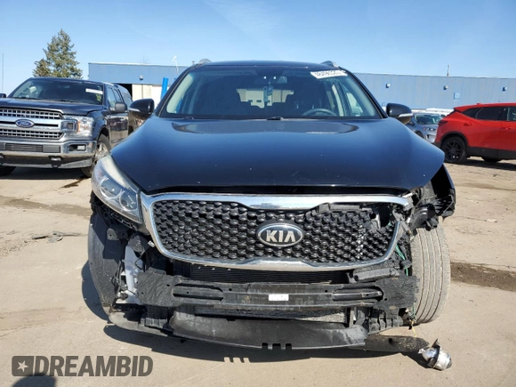 2017 Kia Sorento LX with VIN 5XYPGDA57HG198917, listed as a Copart auction lot 48496325 with 115,667 mi miles and Salvage Title. Bid and sale history available at DreamBid. Image 5.