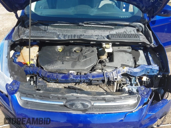 2014 Ford Escape SE with VIN 1FMCU9G99EUD02098, listed as a IAAI auction lot 41814969 with 210,218 mi miles and . Bid and sale history available at DreamBid. Image 10.