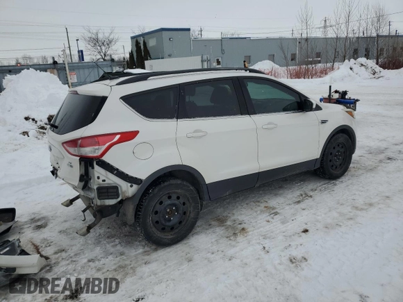 2014 Ford Escape SE with VIN 1FMCU9G99EUD90182, listed as a Copart auction lot 44133645 with 183,122 mi miles and Salvage Title. Bid and sale history available at DreamBid. Image 3.