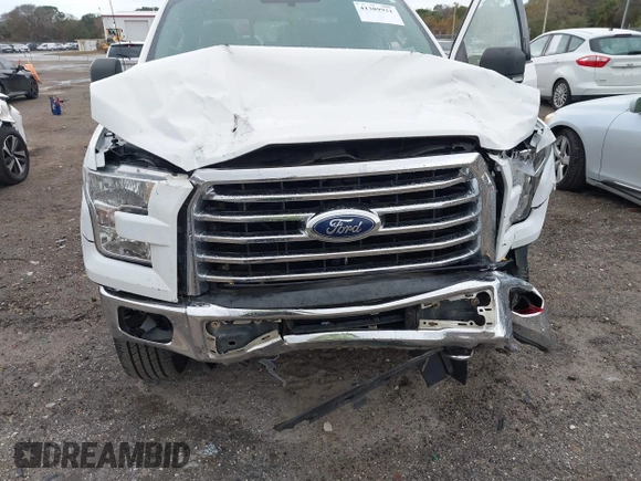2017 Ford F-150 XL with VIN 1FTEW1EP6HFB40594, listed as a IAAI auction lot 41309921 with 184,454 mi miles. Bid and sale history available at carsss.com. Image 6.