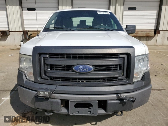 2013 Ford F-150 XL with VIN 1FTFX1EF8DKE35559, listed as a Copart auction lot 55754985 with 193,184 mi miles and Salvage title. Bid and sale history available at DreamBid. Image 5.