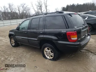 1999 Jeep Grand Cherokee Limited with VIN 1J4GW68SXXC713416, listed as a Copart auction lot 88296395 with 0 mi miles and Non Repairable. Bid and sale history available at carsss.com. Image 2.