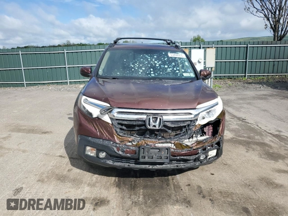 2019 Honda Ridgeline RTL with VIN 5FPYK3F5XKB038414, listed as a Copart auction lot 55408955 with Not provided miles and Salvage title. Bid and sale history available at DreamBid. Image 5.