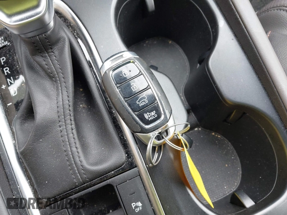 2019 Hyundai Santa Fe Ultimate with VIN 5NMS5CAD1KH000394, listed as a IAAI auction lot 41455421 with 42,886 mi miles and . Bid and sale history available at DreamBid. Image 11.
