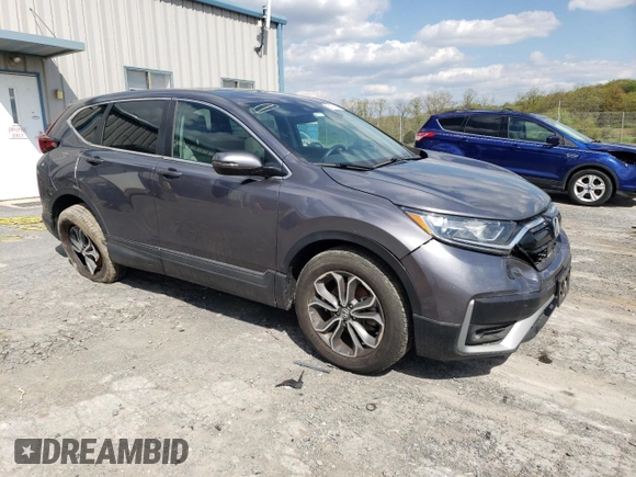2022 Honda CR-V EX with VIN 7FARW2H50NE021526, listed as a Copart auction lot 50071883 with 19,166 mi miles and . Bid and sale history available at DreamBid. Image 4.
