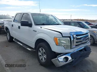 2011 Ford F-150 XL with VIN 1FTEW1CM0BFC15564, listed as a IAAI auction lot 41710176 with 143,554 mi miles and . Bid and sale history available at DreamBid. Image 1.