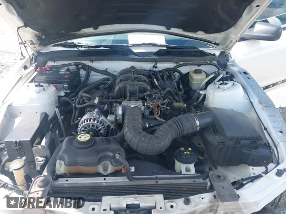 2008 Ford Mustang Deluxe with VIN 1ZVHT80N885199959, listed as a IAAI auction lot 42248199 with 275,431 mi miles and . Bid and sale history available at DreamBid. Image 10.