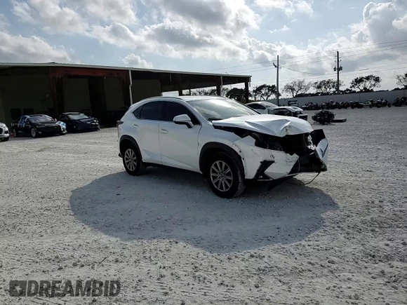 2021 Lexus NX with VIN JTJDARBZ0M5023461, listed as a Copart auction lot 48062765 with 91,290 mi miles and Salvage Title. Bid and sale history available at carsss.com. Image 11.