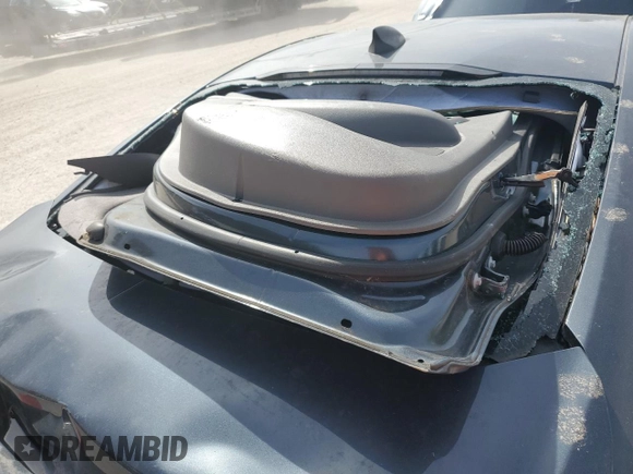 2019 Chevrolet Malibu LS with VIN 1G1ZB5ST6KF205532, listed as a Copart auction lot 45573095 with Not Provided miles and Salvage Title. Bid and sale history available at DreamBid. Image 13.