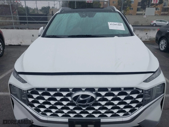 2021 Hyundai Santa Fe Limited with VIN 5NMS44AL5MH315413, listed as a IAAI auction lot 41205405 with 60,677 mi miles. Bid and sale history available at carsss.com. Image 12.